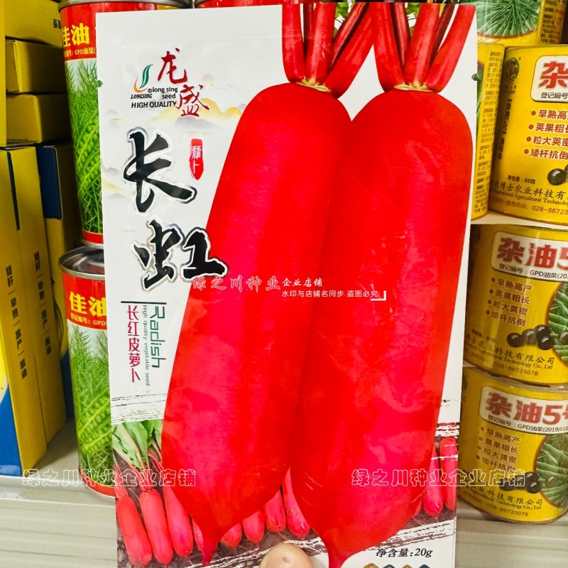 耐寒长虹萝卜种子耐低温红皮萝卜种子满身红萝卜种子春秋冬