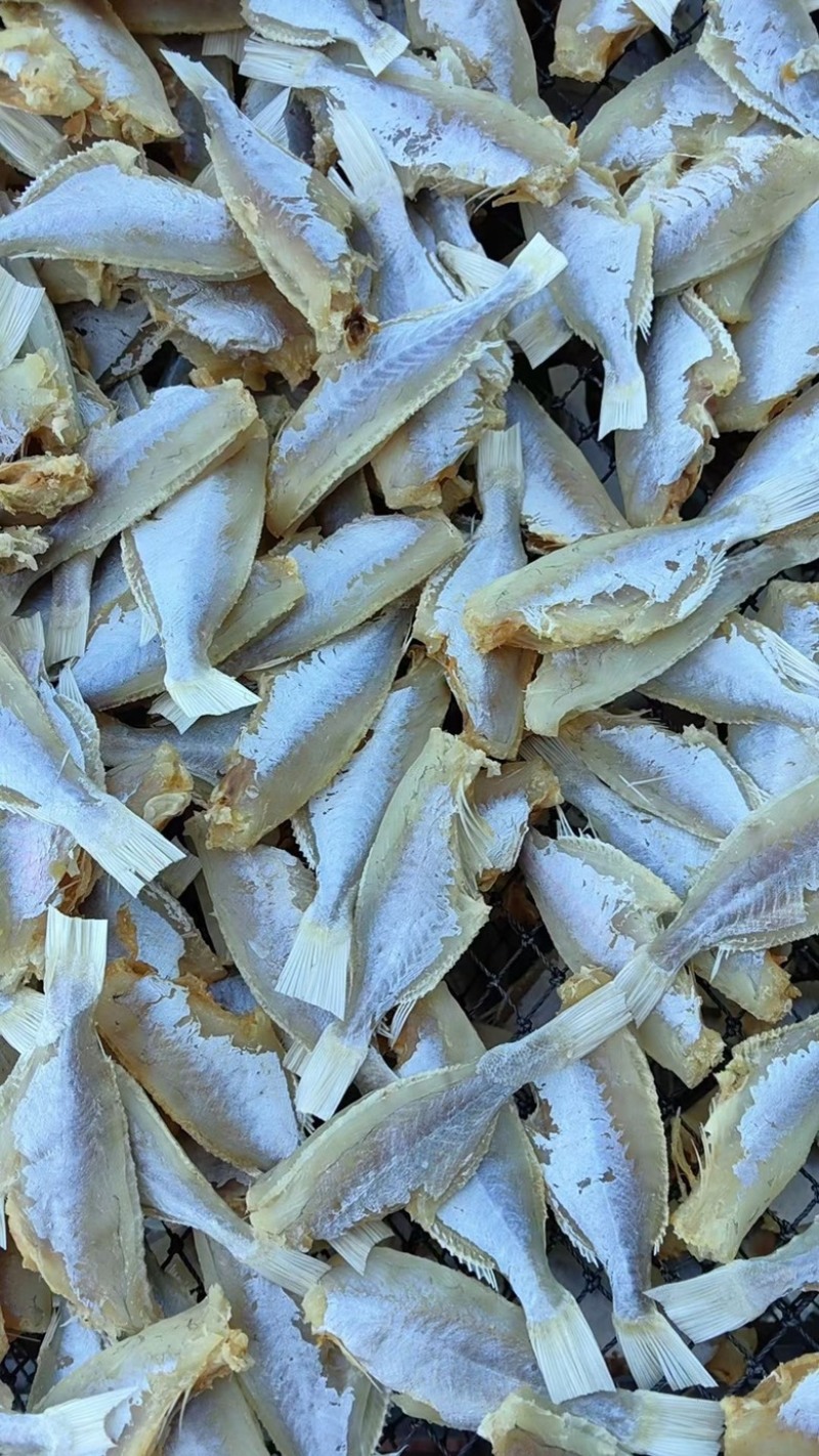 剥皮鱼干地摊电商批发中目肉大目肉鱼干干鱼扒皮鱼干