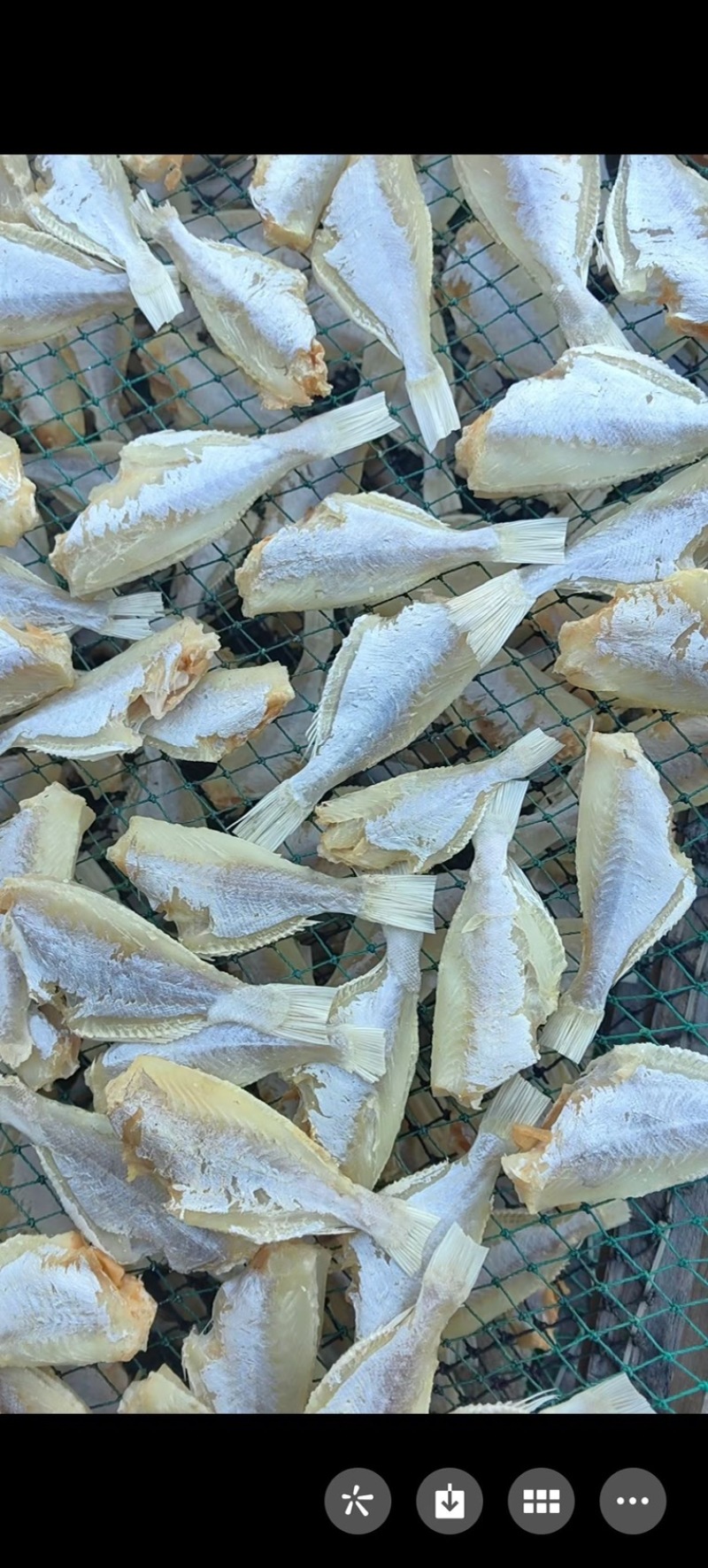剥皮鱼干地摊电商批发中目肉大目肉鱼干干鱼扒皮鱼干