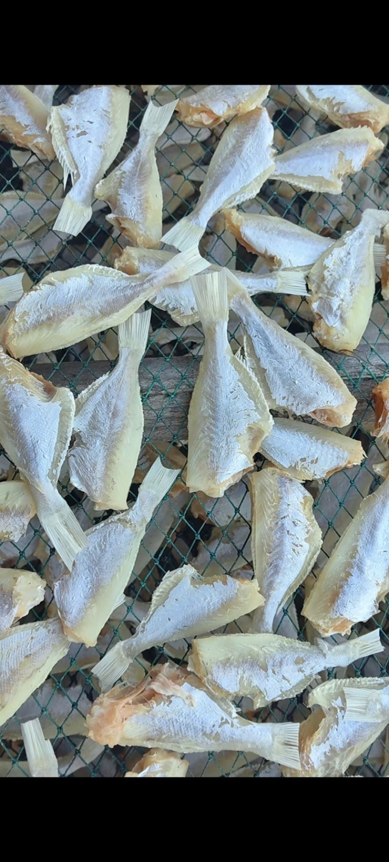 剥皮鱼干地摊电商批发中目肉大目肉鱼干干鱼扒皮鱼干