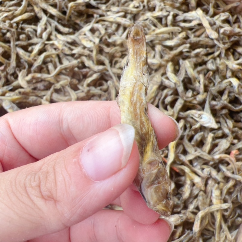 黄鱼地摊电商批发光鱼小黄鱼龟粮宠物粮食