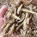 黄鱼地摊电商批发光鱼小黄鱼龟粮宠物粮食