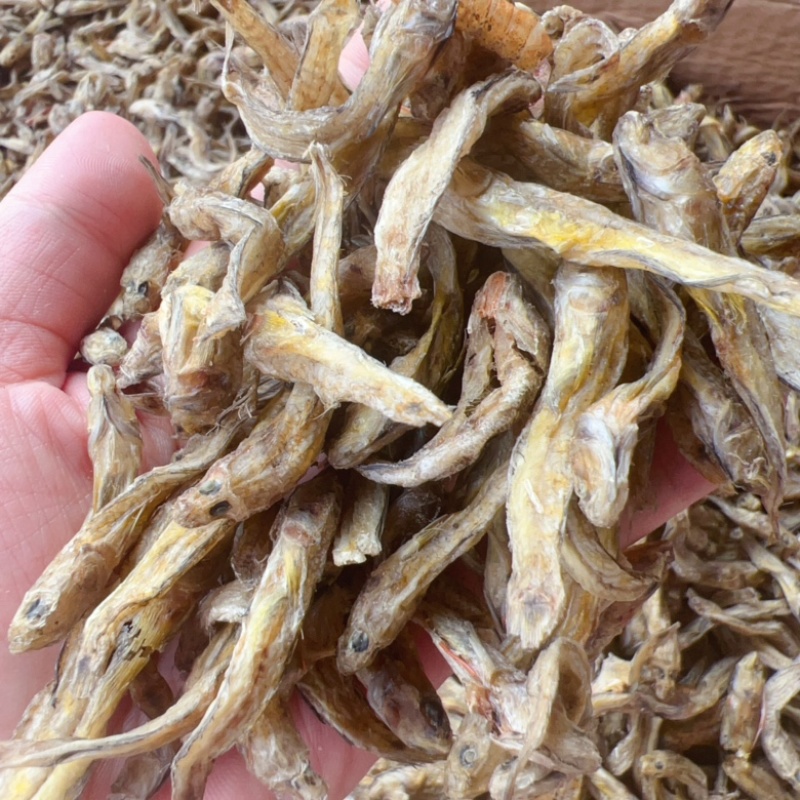 黄鱼地摊电商批发光鱼小黄鱼龟粮宠物粮食