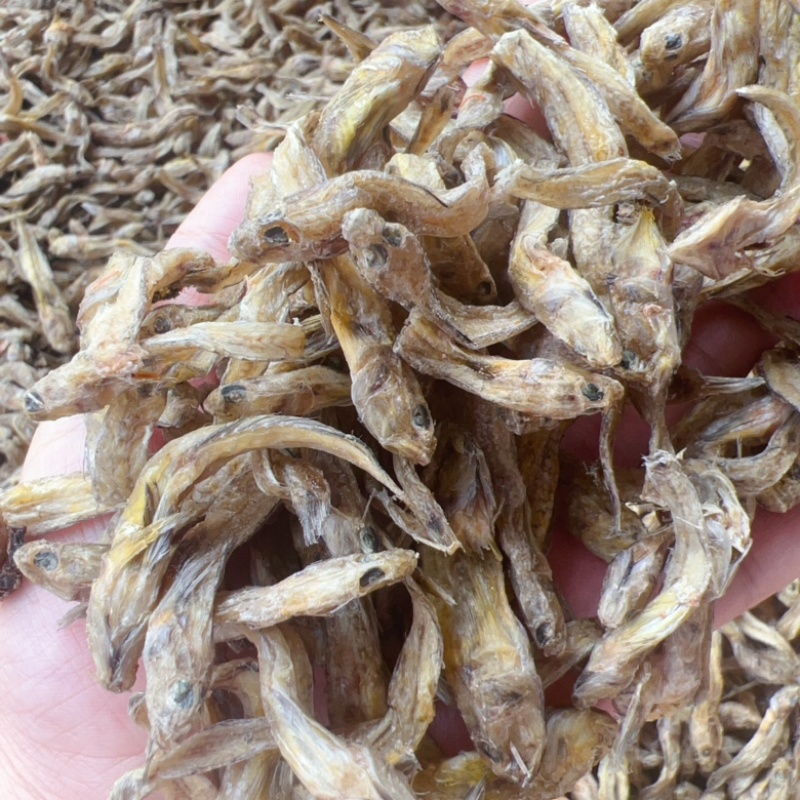黄鱼地摊电商批发光鱼小黄鱼龟粮宠物粮食