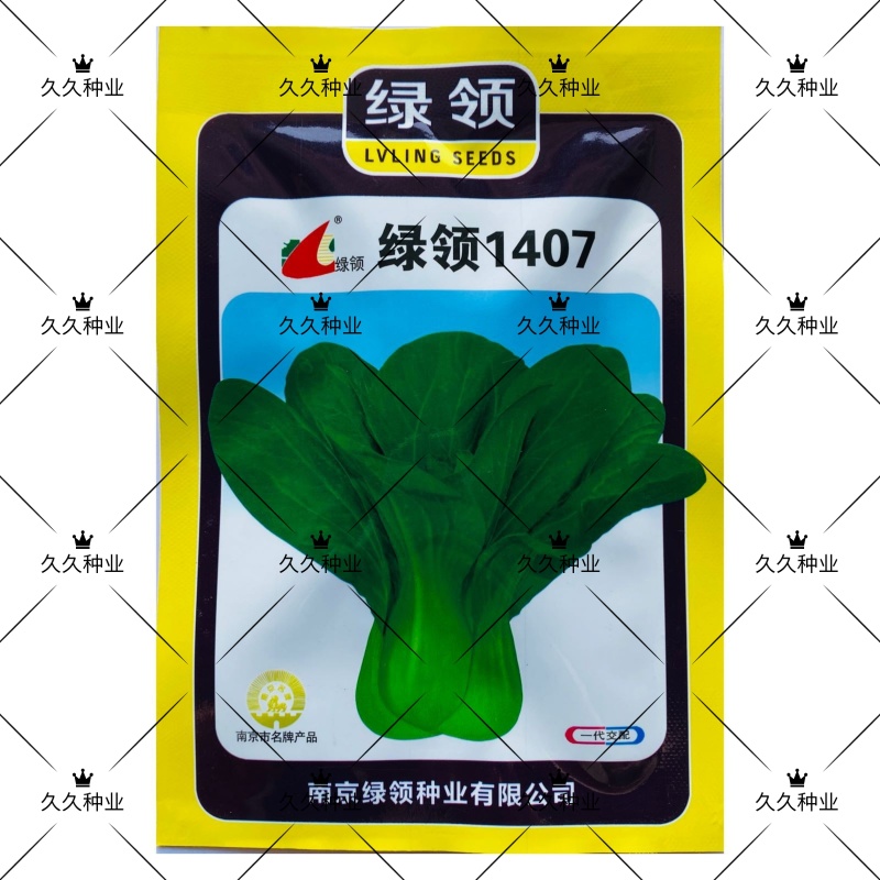 绿领1407青梗菜小油菜种子秋冬季耐热耐湿大田四季播