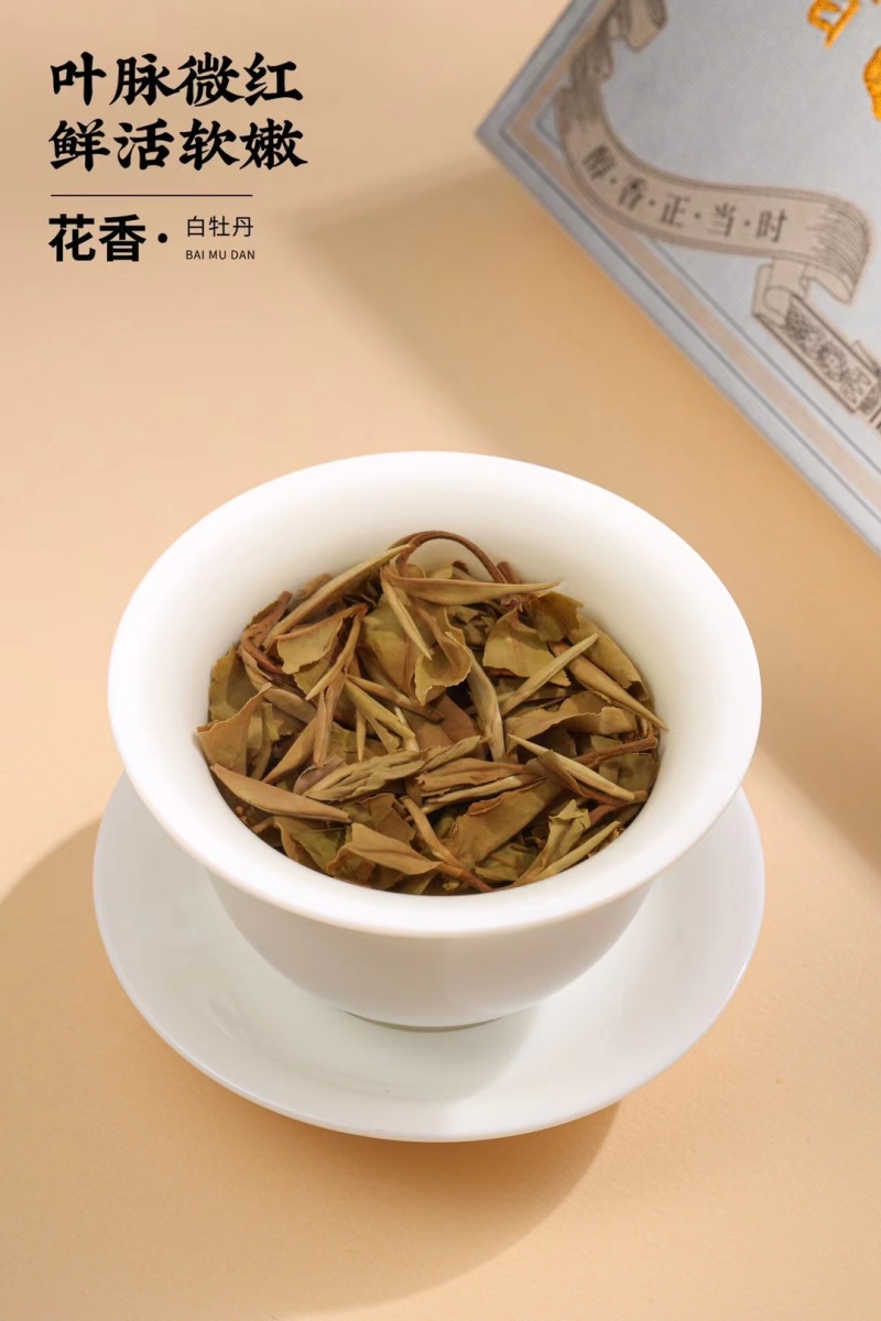 福鼎花香白牡丹小方片高山贡眉寿眉送人礼盒包装1套2条