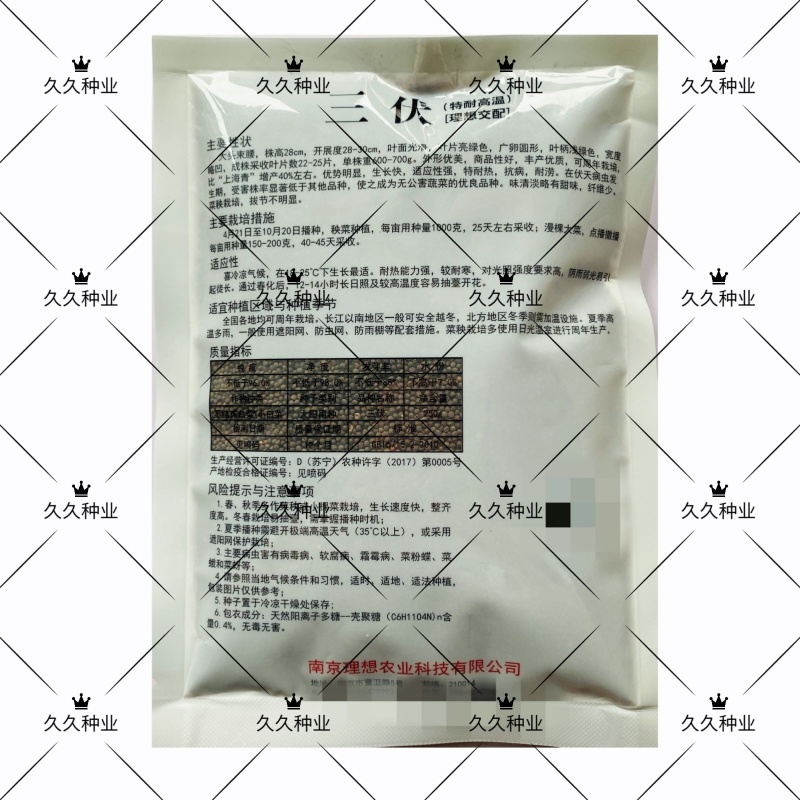 三伏青梗菜种子耐热耐雨水大头束腰上海青四季青菜油菜蔬菜种