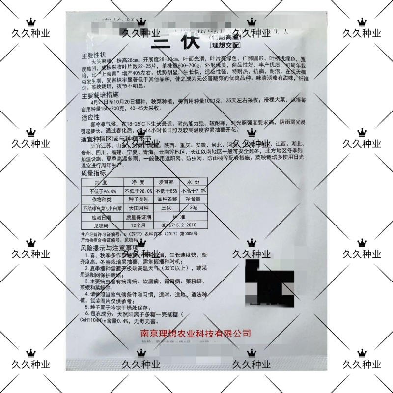 理想三伏青菜种子高产抗热大头束腰青梗菜种籽农家四季蔬菜