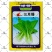 绿领三月慢青梗菜种子高产耐寒叶绿光滑小白菜青菜种籽