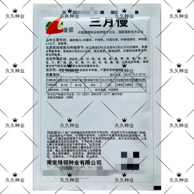 绿领三月慢青梗菜种子高产耐寒叶绿光滑小白菜青菜种籽