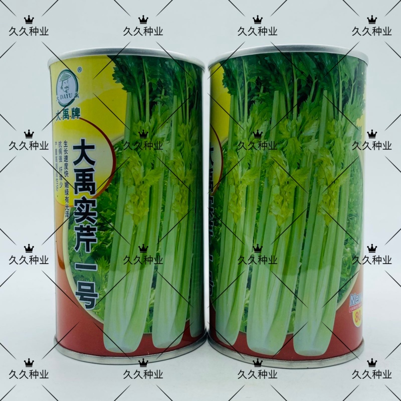 大禹实芹一号芹菜种子西芹种籽中早熟速生春秋大田用种