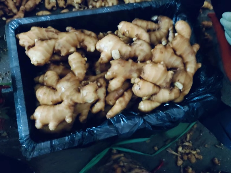 电商货，便宜，量大，支持全国发货