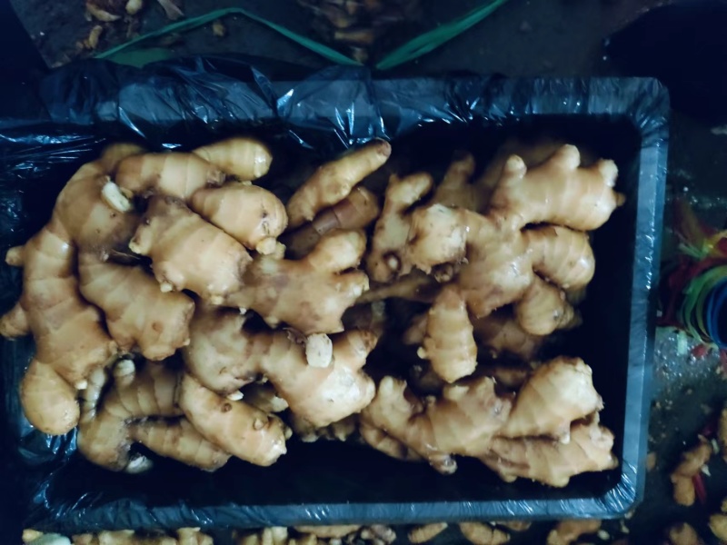 电商货，便宜，量大，支持全国发货