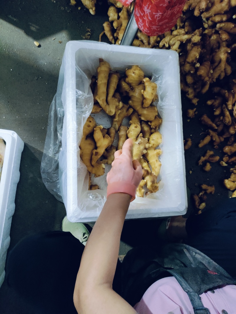 电商货，便宜，量大，支持全国发货