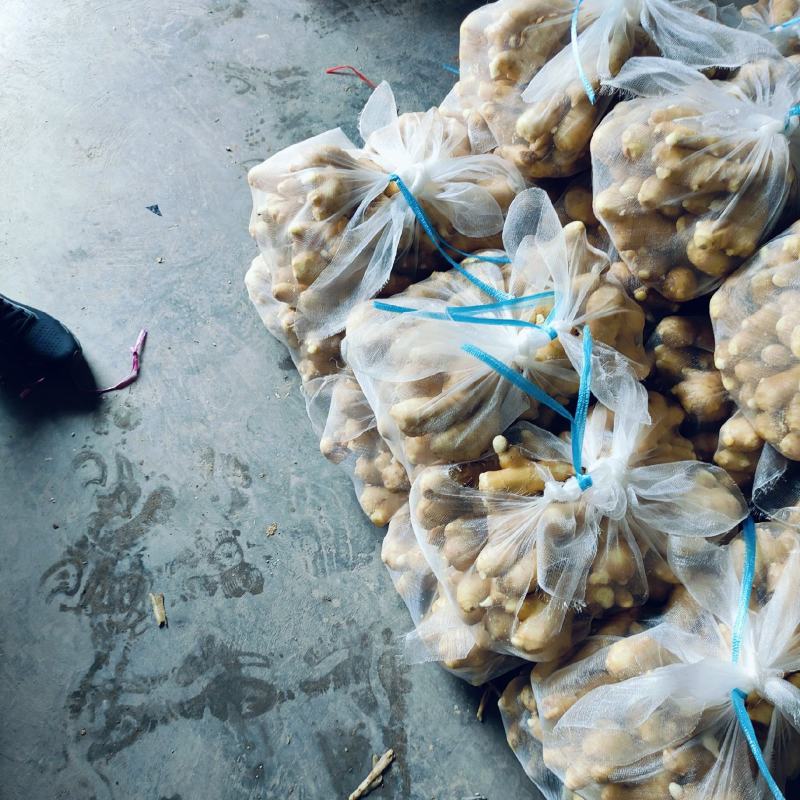 电商货，便宜，量大，支持全国发货