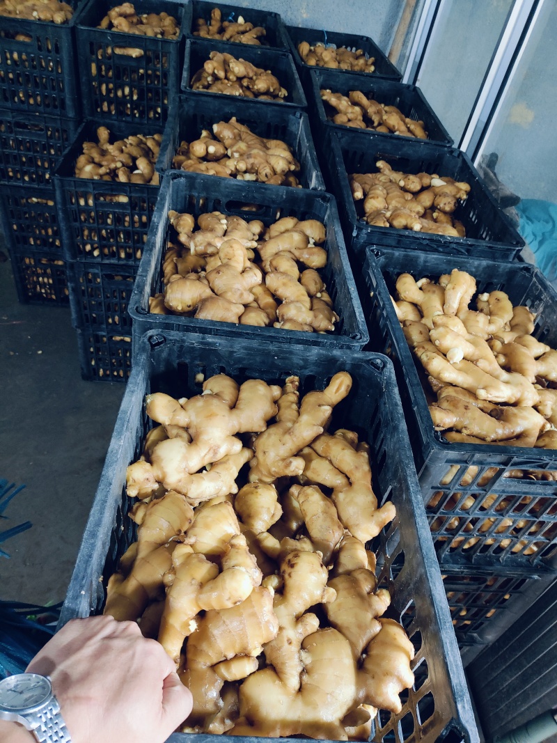 电商货，便宜，量大，支持全国发货