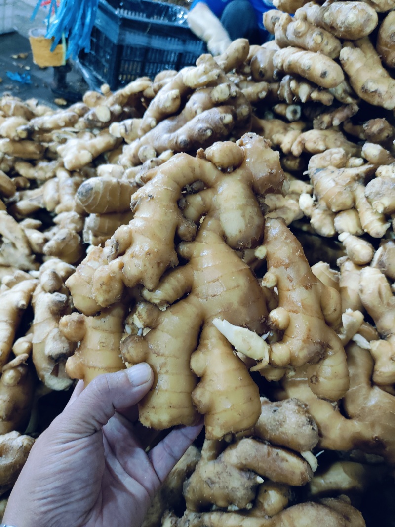 电商货，便宜，量大，支持全国发货