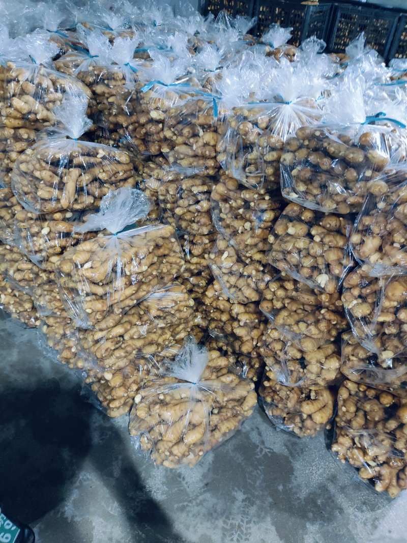 电商货，便宜，量大，支持全国发货