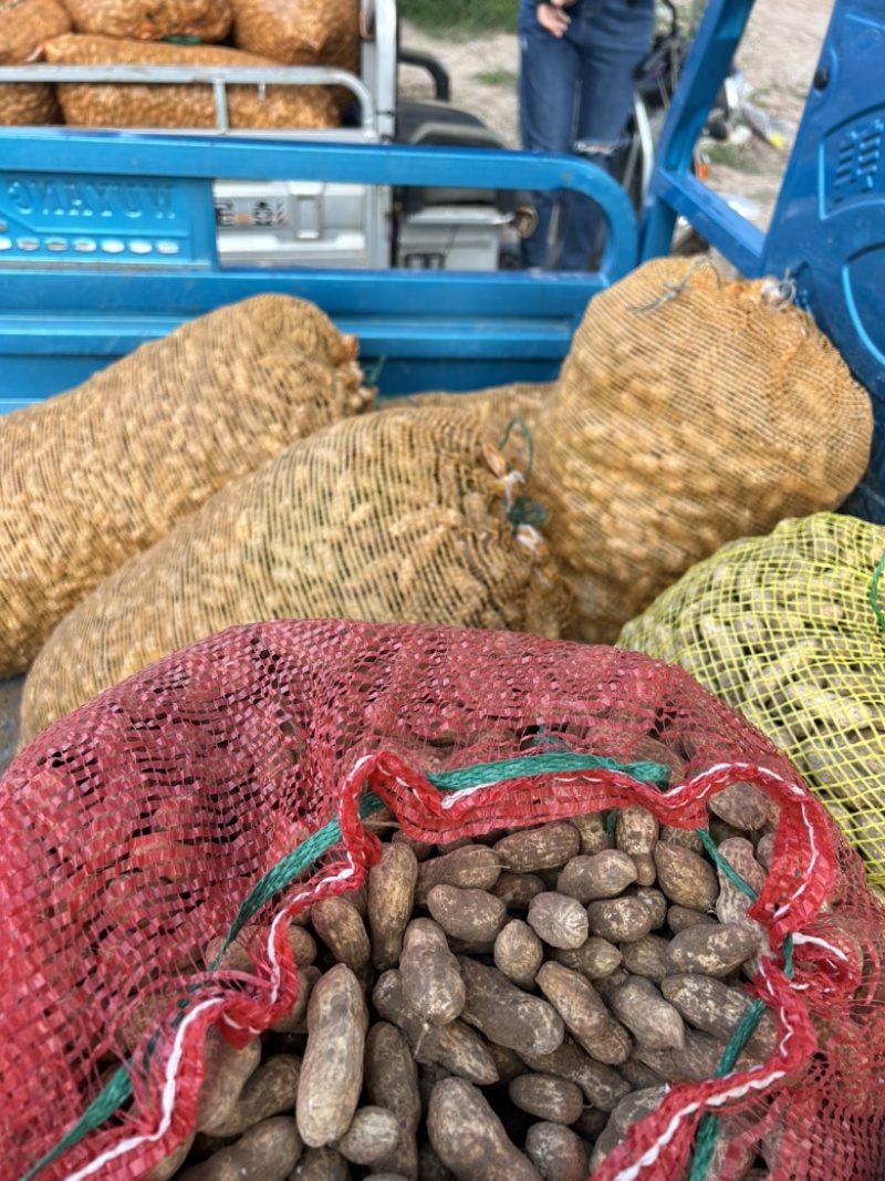 精品手捡花生！产地直销！保证质量全国发货