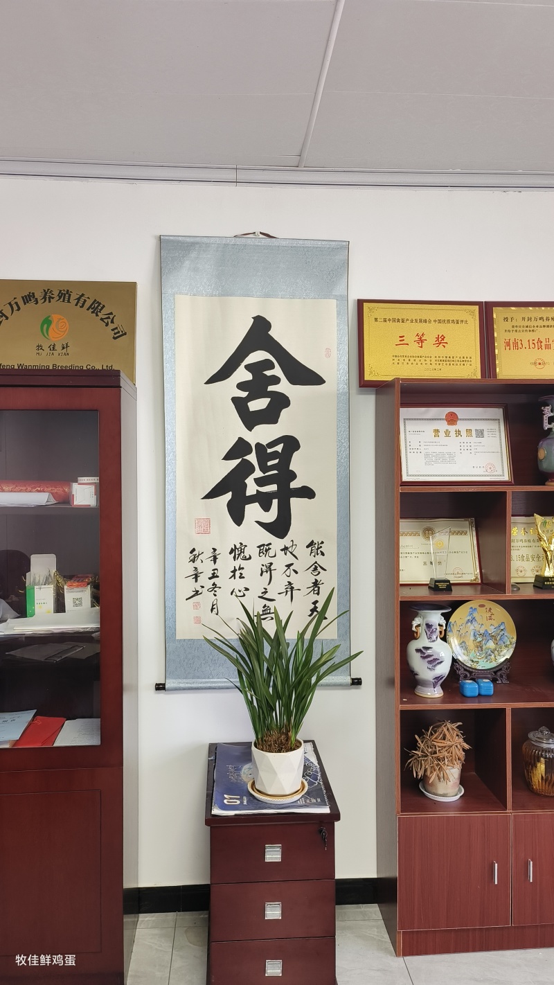 土鸡蛋，养殖场直发，货源质量保证，有各项检测报告