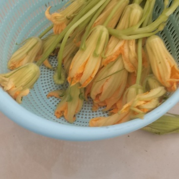 南瓜花干货