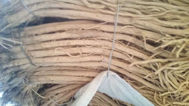 甘肃定西防风，品质保证货源保证，产地直发，量大从优