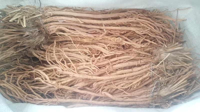 甘肃定西防风，品质保证货源保证，产地直发，量大从优