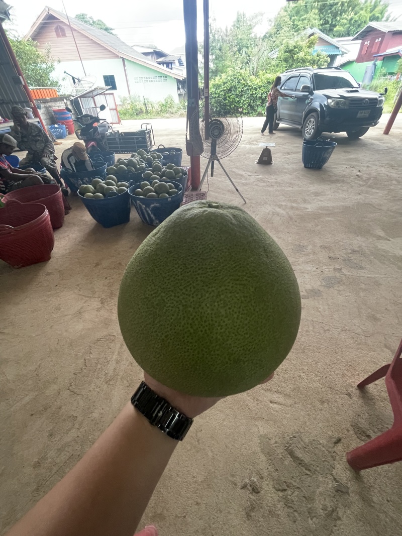 白蜜柚