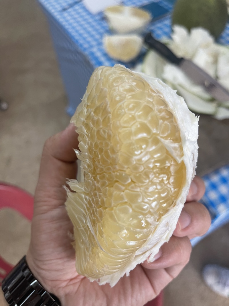 白蜜柚