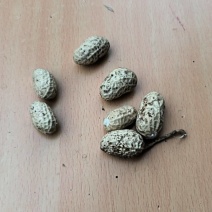 通货或精选