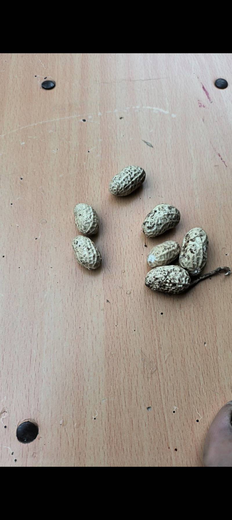 通货或精选