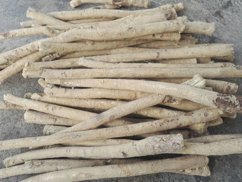 甘肃定西黄芪，产地直发，货源保证，一手货源，质量保证