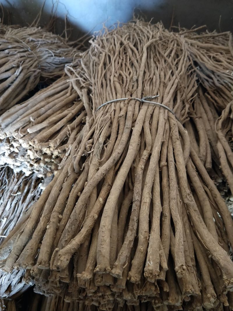 甘肃定西黄芪，产地直发，货源保证，一手货源，质量保证