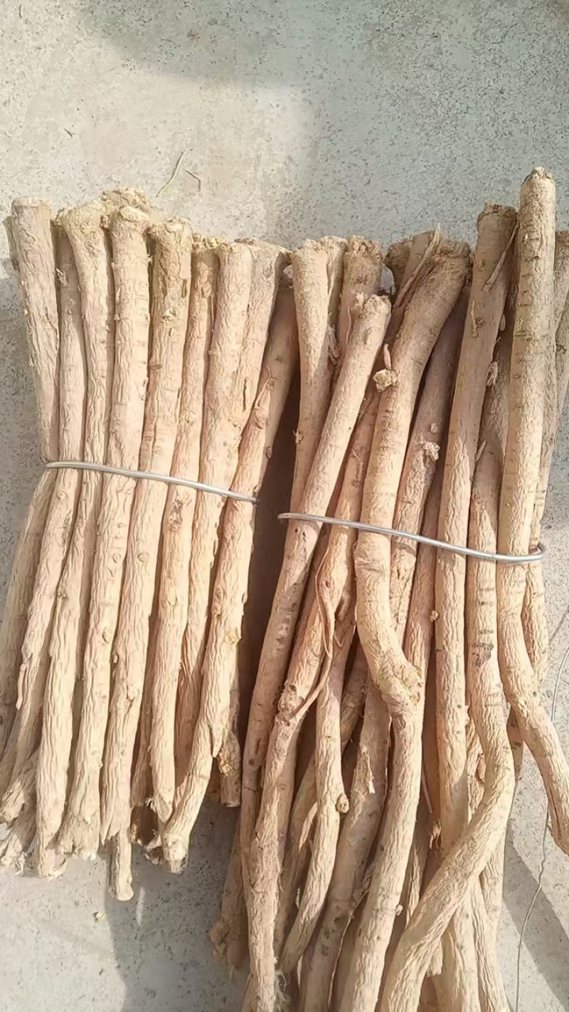 甘肃定西黄芪，产地直发，货源保证，一手货源，质量保证