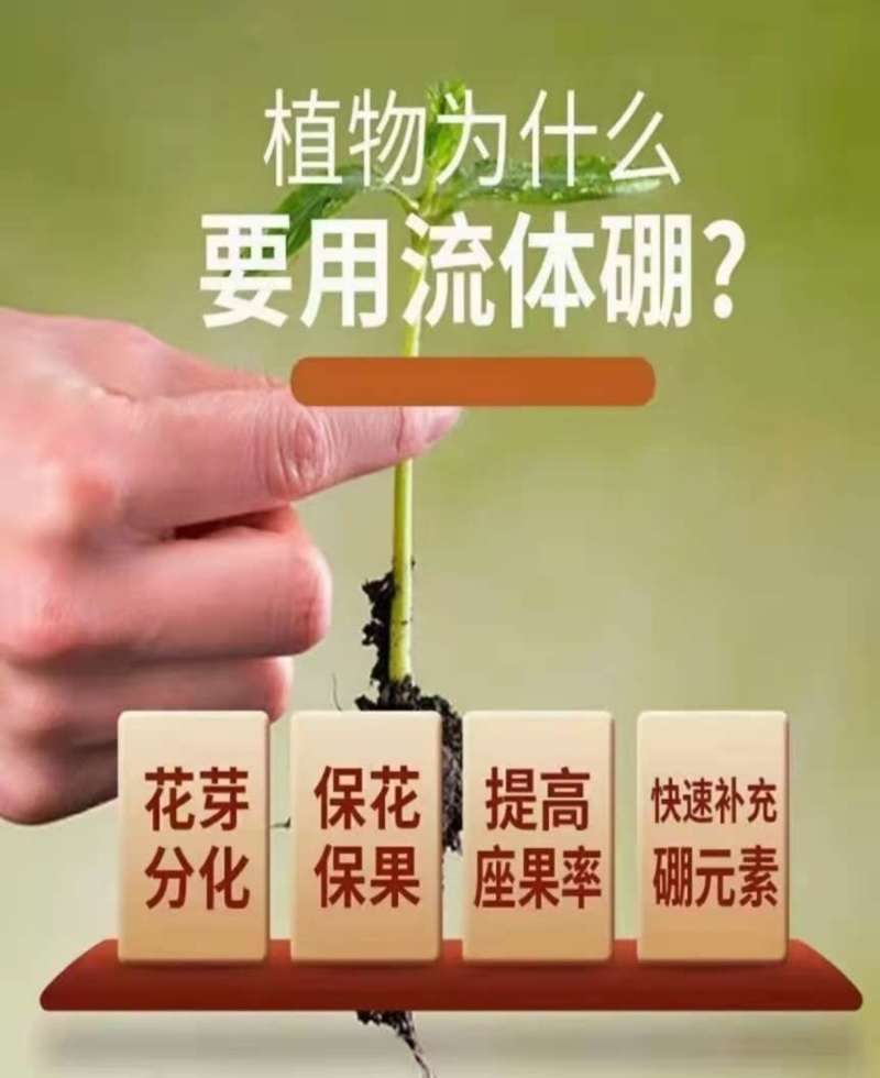流体硼提高受粉保花保果提高坐果率花前补硼必选厂家直销