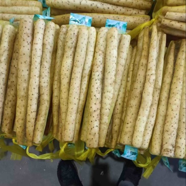 河北精品小白嘴，紫瑶，双棒，麻山药，品类规格齐全价格美丽