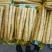 河北精品小白嘴，紫瑶，双棒，麻山药，品类规格齐全价格美丽