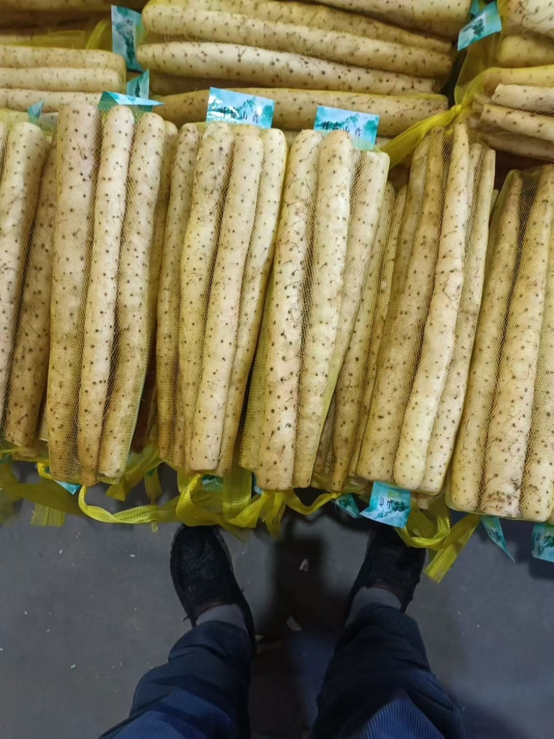 河北精品小白嘴，紫瑶，双棒，麻山药，品类规格齐全价格美丽