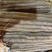 河北精品小白嘴，紫瑶，双棒，麻山药，品类规格齐全价格美丽