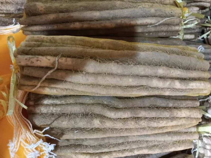 河北精品小白嘴，紫瑶，双棒，麻山药，品类规格齐全价格美丽
