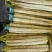 河北精品小白嘴，紫瑶，双棒，麻山药，品类规格齐全价格美丽