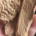 精品锁阳