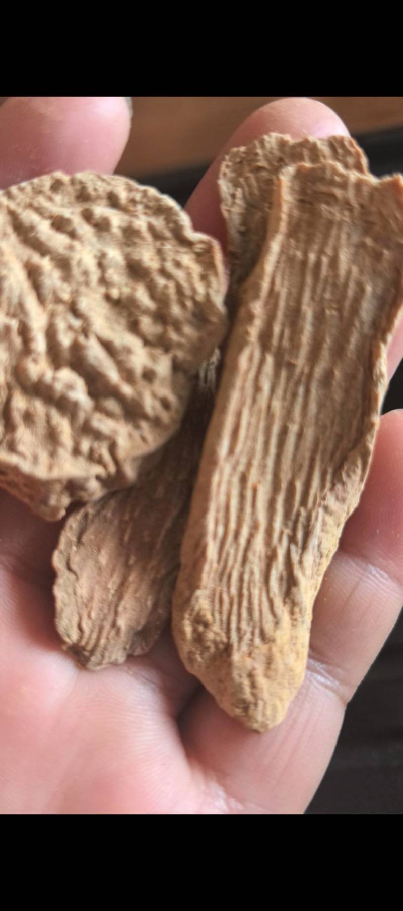 精品锁阳