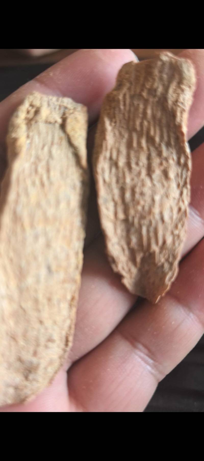 精品锁阳