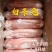 剥皮新鲜速冻兔肉，保鲜兔，烫皮兔，白条兔兔肉