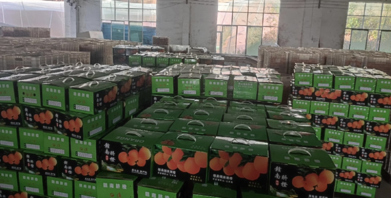 【实力推荐】赣南脐橙对接全国视频看货产地直发