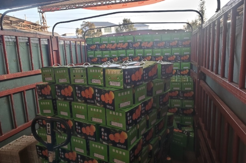 【一件代发】赣南脐橙产地直发品质保证对接全国