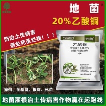 20%乙酸铜杀菌剂黄瓜苗期猝倒病乙酸铜可湿性粉剂农药正品
