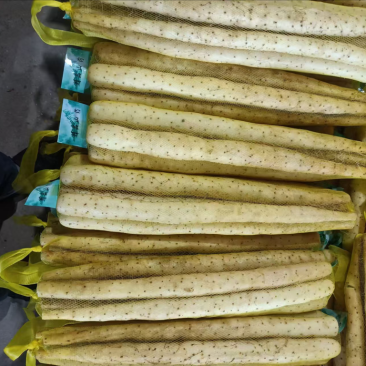 常年批发各种山药，品类规格齐全，价格可议，土货和水洗货。