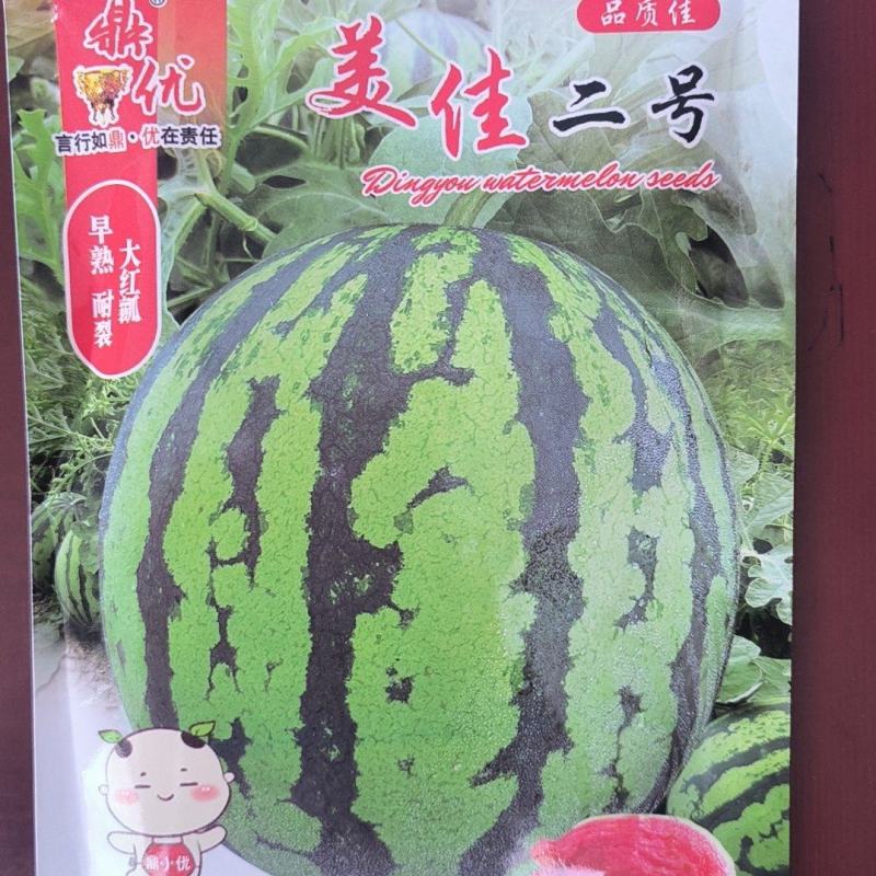 早熟品种美佳二号